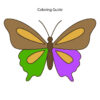 Colored easy butterfly drawing