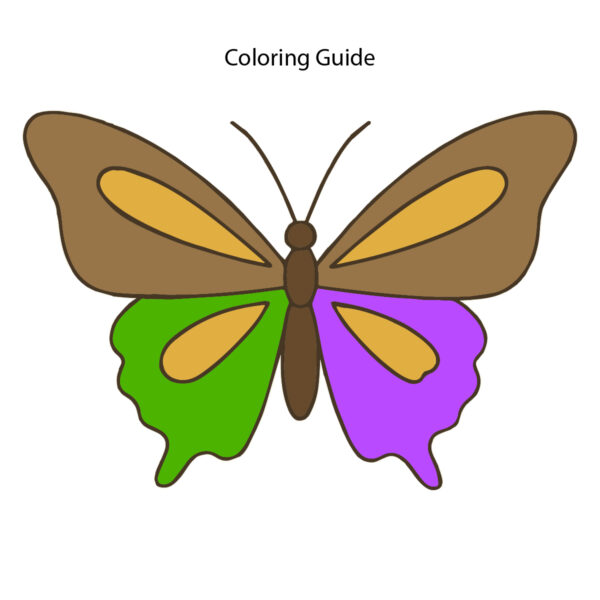 Colored easy butterfly drawing