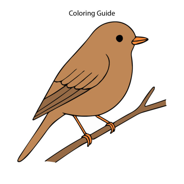 Colored easy bird drawing