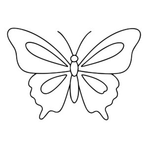 Easy butterfly drawing in black and white