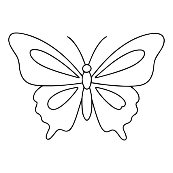 Easy butterfly drawing in black and white