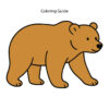Colored easy line drawing of a bear