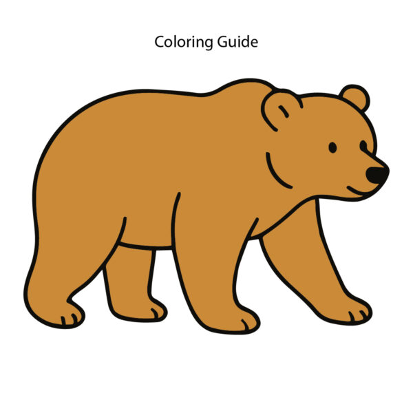 Colored easy line drawing of a bear
