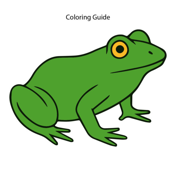 Colored easy line drawing of a frog