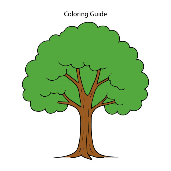 Colored easy line drawing of a tree