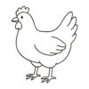 Easy line drawing of a chicken in black and white