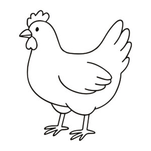 Easy line drawing of a chicken in black and white