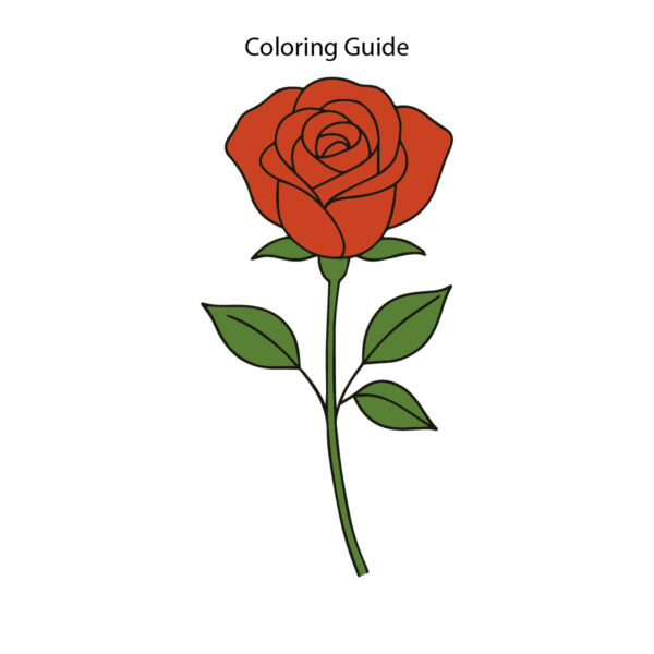 Colored easy line drawing of a rose