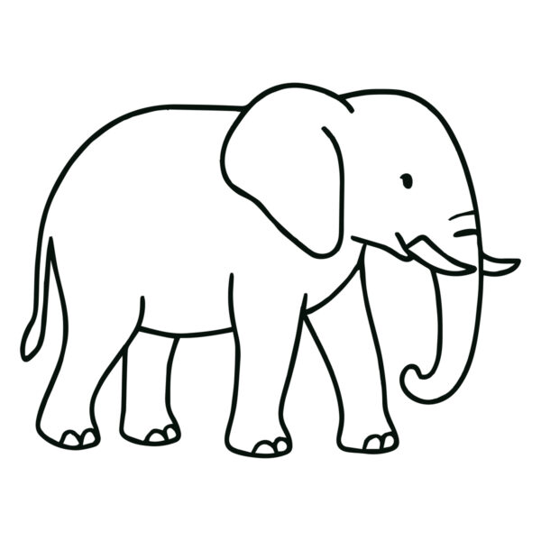 Easy line drawing of an Elephant in black and white