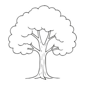 Easy line drawing of a tree in black and white
