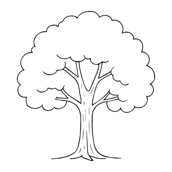 Easy line drawing of a tree in black and white